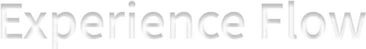 Experience Flow